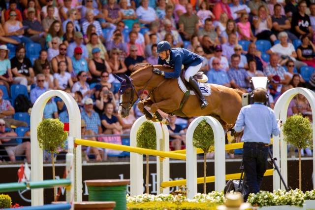 Tobago z : tobago z - 2008 - alezan brule - 1m63 - zang