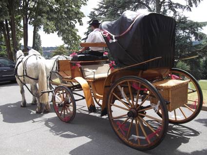 voiture à cheval vis à vis