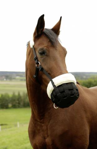 Muselière panier confortable - Pour poney Shetland