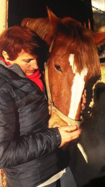 Communication Intuitive avec l'Animal