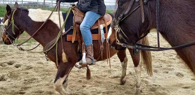 Cours d'équitation Western