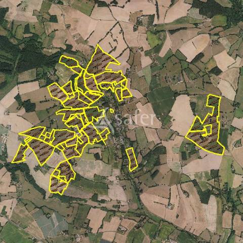 Exploitation Agricole spécialisée en polyculture-élevage_SAU