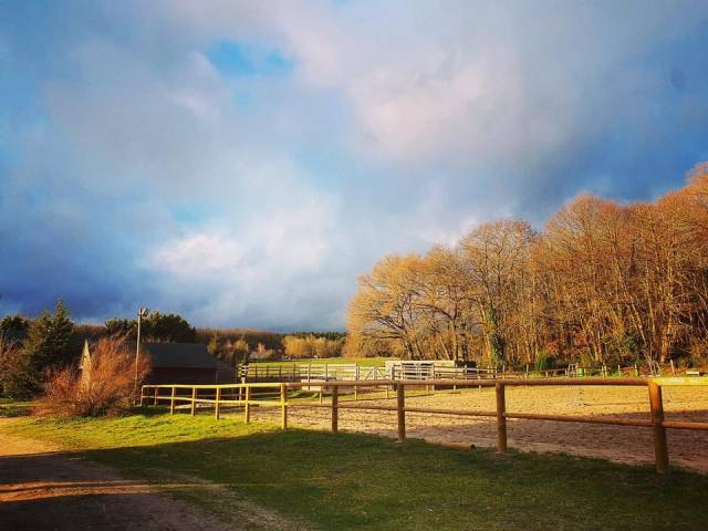 Pension écurie de propriétaires - Haras de Martras (49)