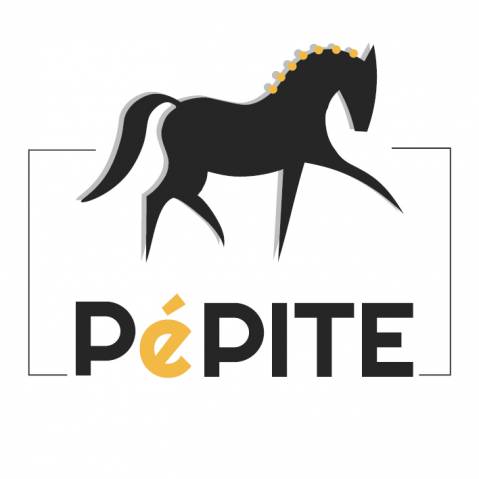 Pépite, étalons de dressage