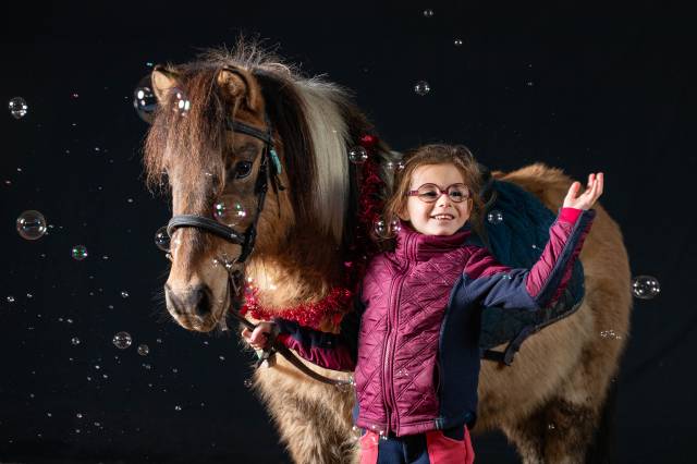 Photographe chevaux et animaux de compagnie