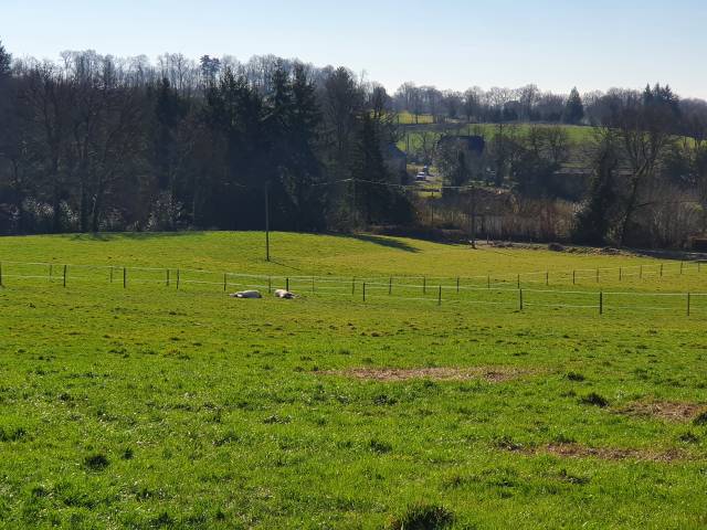 Pension pour chevaux - Equidog -Ranch (19)