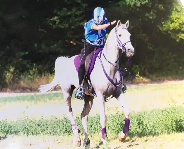 Pension chevaux - LES ECURIES DE BAGARD (30)