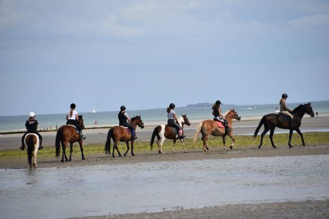 Centre de vacances equestre familal