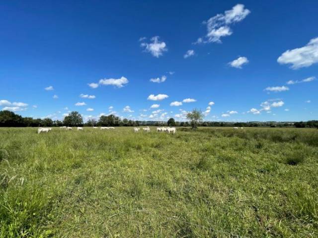 Terrain de 11 hectares avec partie constructible