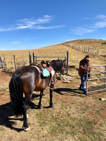 Les Steppes du Cantal à Cheval 2 jours