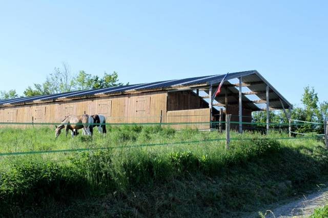 Pension box / paddock - Haras d’Einalem (76)