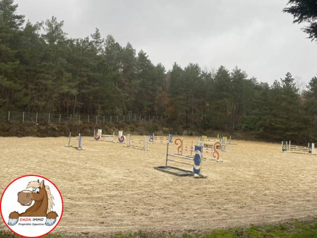 Ecurie de sport au cœur de la Forêt de Rambouillet 