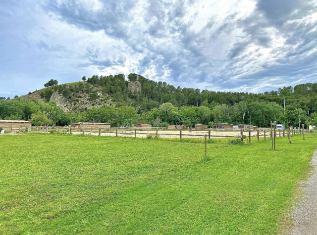 Pension écuries paddocks/box