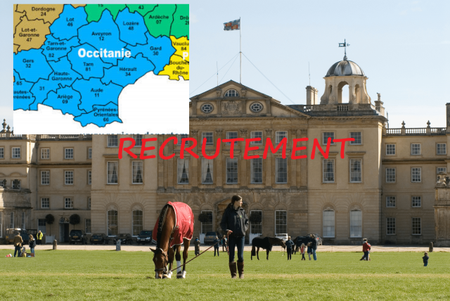 Commercial (e) en Immobilier Equestre