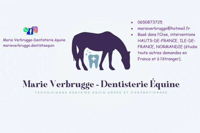 Dentiste équin