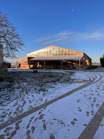 Écurie éthologique - Haras de Bassonville (Angerville)