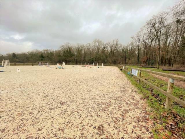 Centre Equestre-Poney-Club en Activité