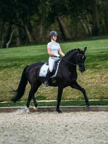 Tapis de selle White Perfection Silver - Equestrian Stockholm