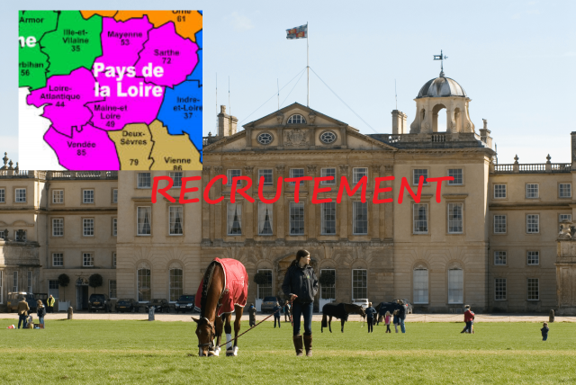 Commercial (e) en Immobilier Equestre