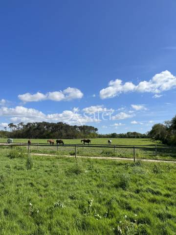 Haras proche Nantes