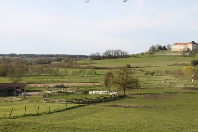 Pension cheval - Les écuries de Loubès