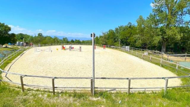 Domaine équestre de 14 hectares avec gîtes