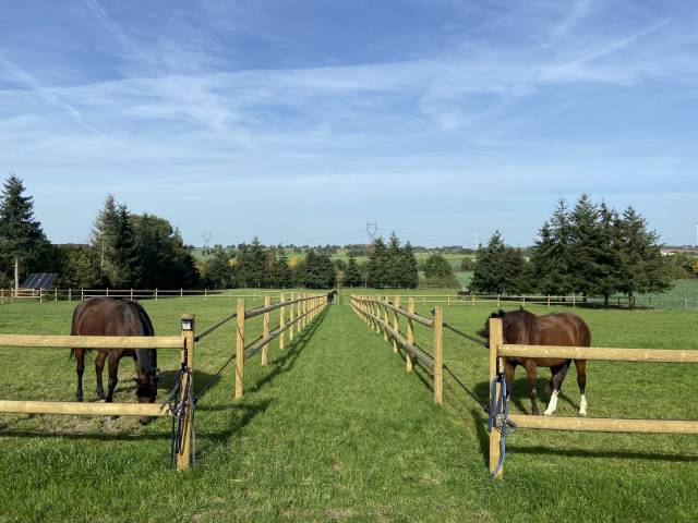 Pension chevaux - Ecurie de propriétaires de La Béguinais (35)