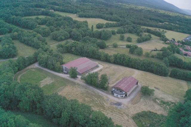 Immobilier Professionnel à vendre Saint-Jean-de-Gonville