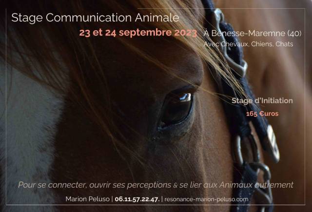 Stage Communication animale Landes