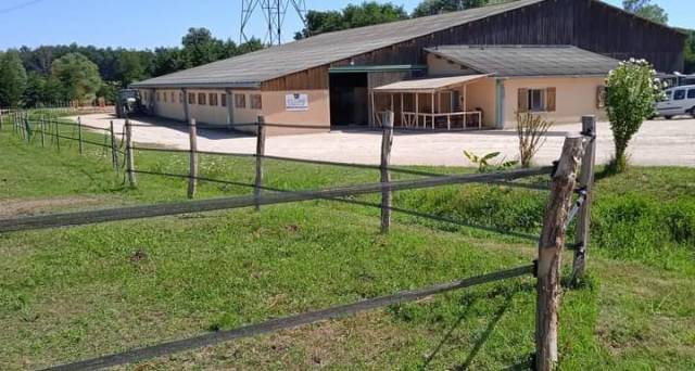 écurie de propriétaire et valorisation mathieu mathurin (01)