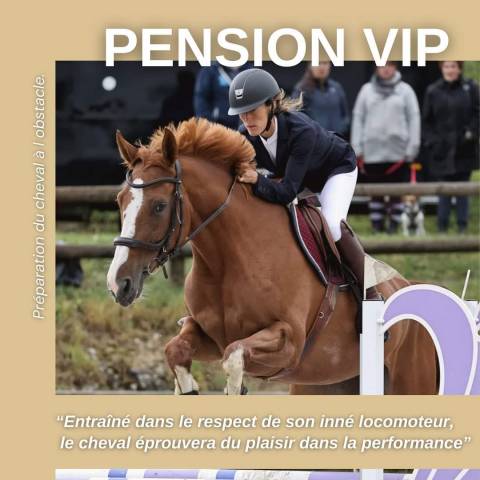 PENSION preparation physique et mental du cheval CSO