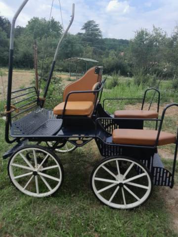 Voiture marathon loisirs pour un cheval