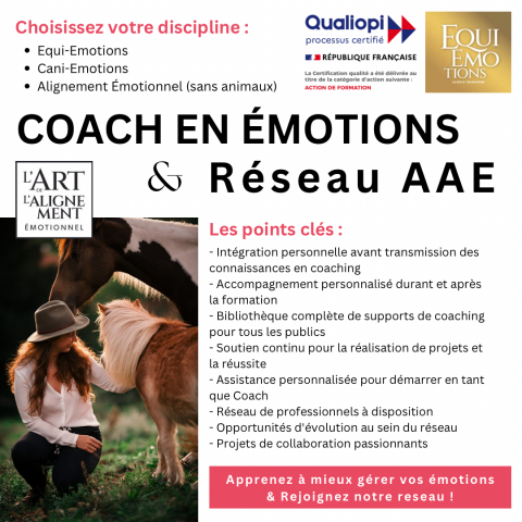 Formation : Devenez Coach Equi-Emotions