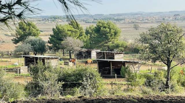 Aude - Jolie propriété sur 7 hectares