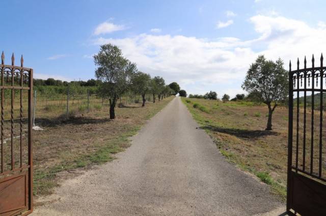 MAGNIFIQUE PROPRIETE A VOCATION EQUESTRE SUR 42 HA