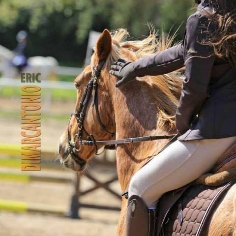 Moniteur d 'equitation