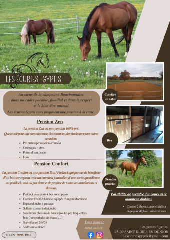 Pension chevaux - Les écuries Gyptis (03)