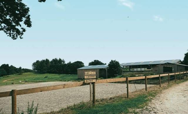 Pension chevaux - Ecuries de Kerviolo (56)