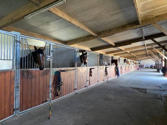 Pension boxs paddocks - Educ’horse (17 - Corme Ecluse)