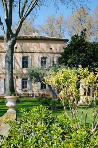 EXCLUSIVITE - PAYS D'ARLES DOMAINE SUR 10 HECTARES