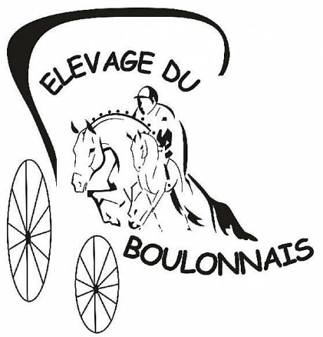 Pensions chevaux paddock - Élevage du boulonnais (34)