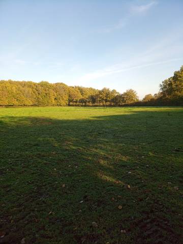 Pension chevaux - Haras de bonnevent (61)