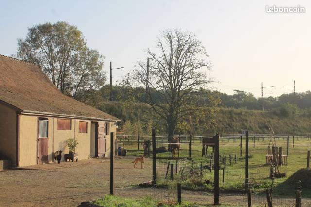 Pension près, près-boxe