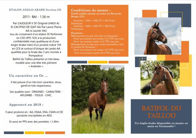 Batifol du Taillou (AA) disponible en monte en main