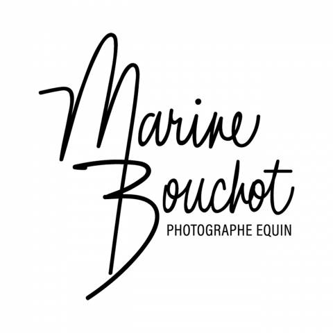 Marine Bouchot Photographe Equin