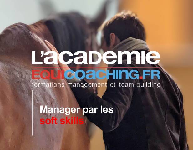 Formations Management assistées par le cheval