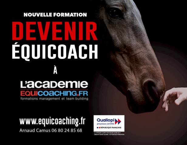 Devenir formateur avec l’Académie Equicoaching