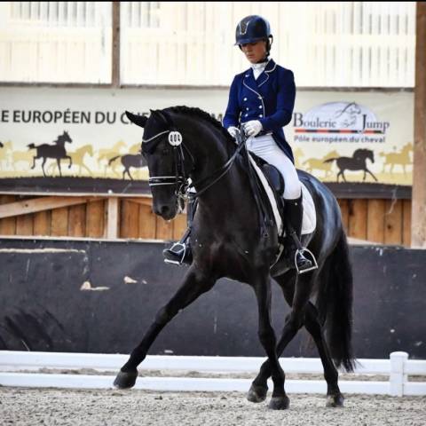 Cours Dressage Calvados 