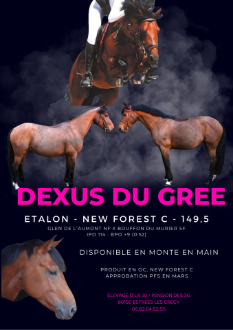 Dexus du gree étalon 