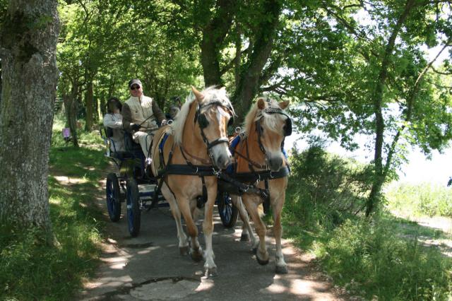 Les Calèches de Mégrit : promenades en calèche